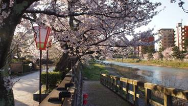 シティ ビュー / 12