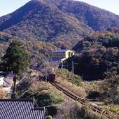 三吉・かに楽座 甲羅戯（兵庫県 旅館） / 4