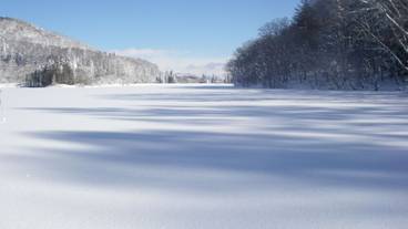 スノーシュー / 9