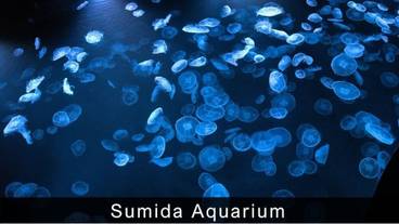 シティ ビュー / 15