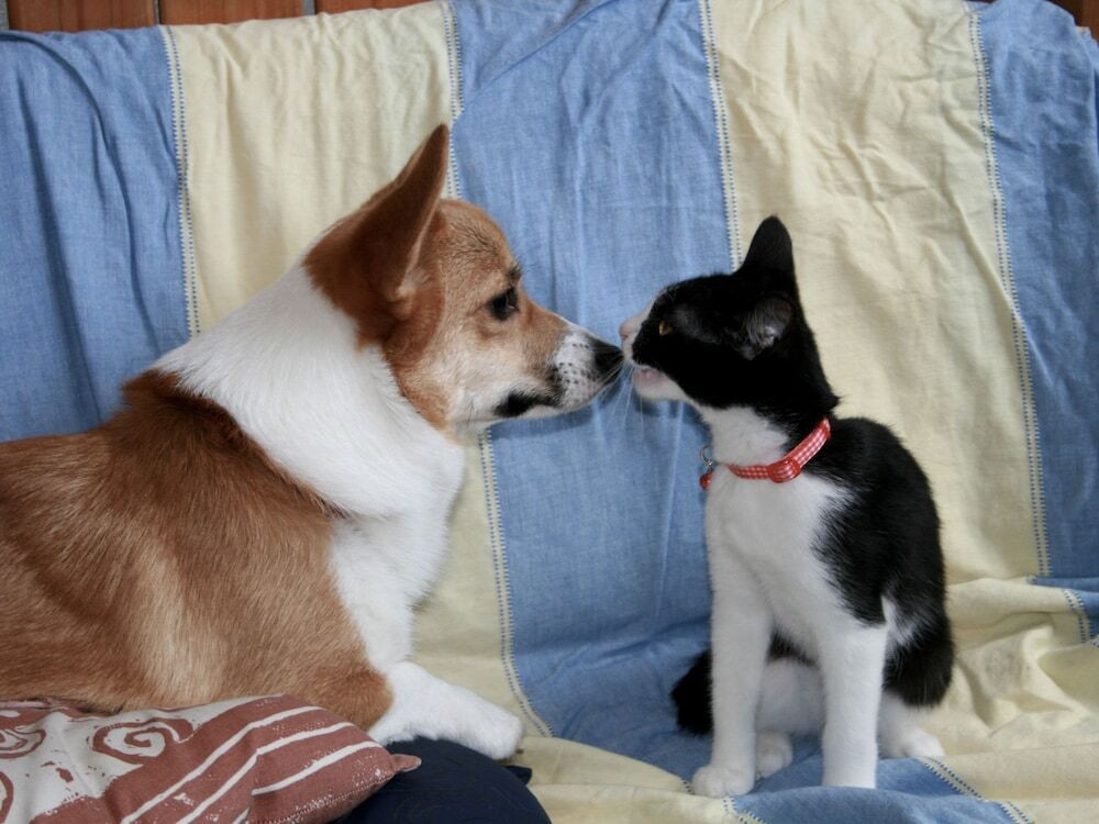 ロビー応接スペース