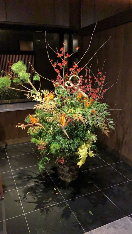 ayami_booouさんの写真 / 1