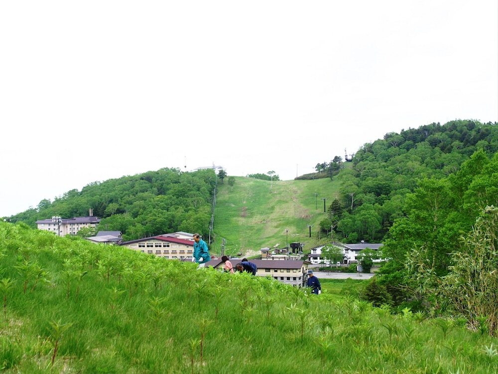 マウンテン ビュー