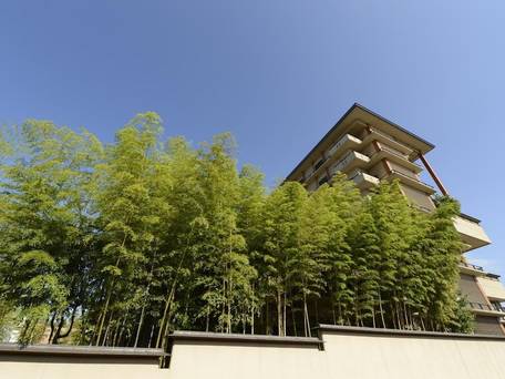 人吉温泉 清流山水花 あゆの里 / 3