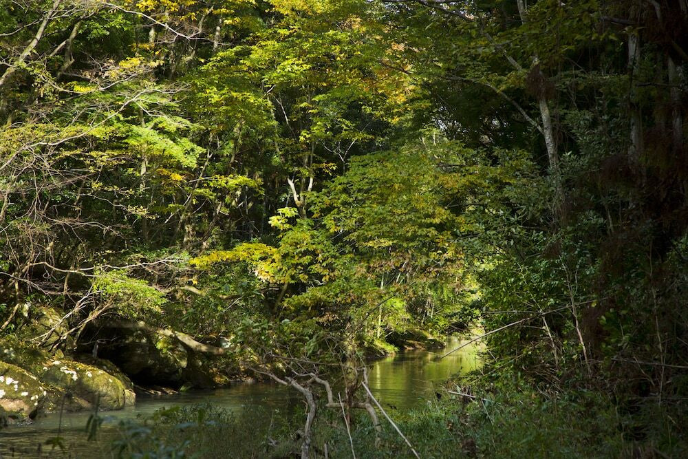 施設からの眺望