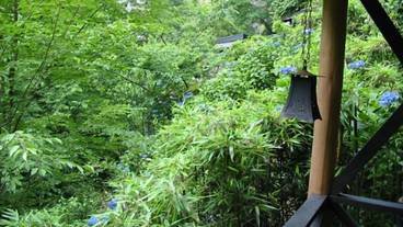 施設からの眺望 / 11