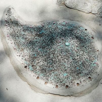 hatosabukoさんの写真 / 5