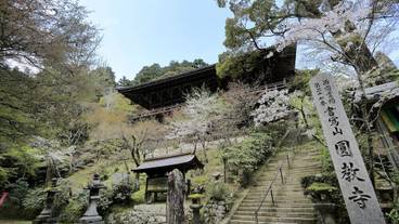 観光スポット / 12