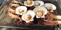 道産子が夜な夜な通う人気の居酒屋で北海道グルメを満喫10選