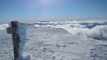 スノー スポーツとスキー / 1