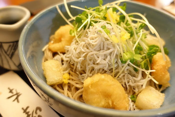 「鎌倉 峰本 八幡宮前本店」 料理 41290108 