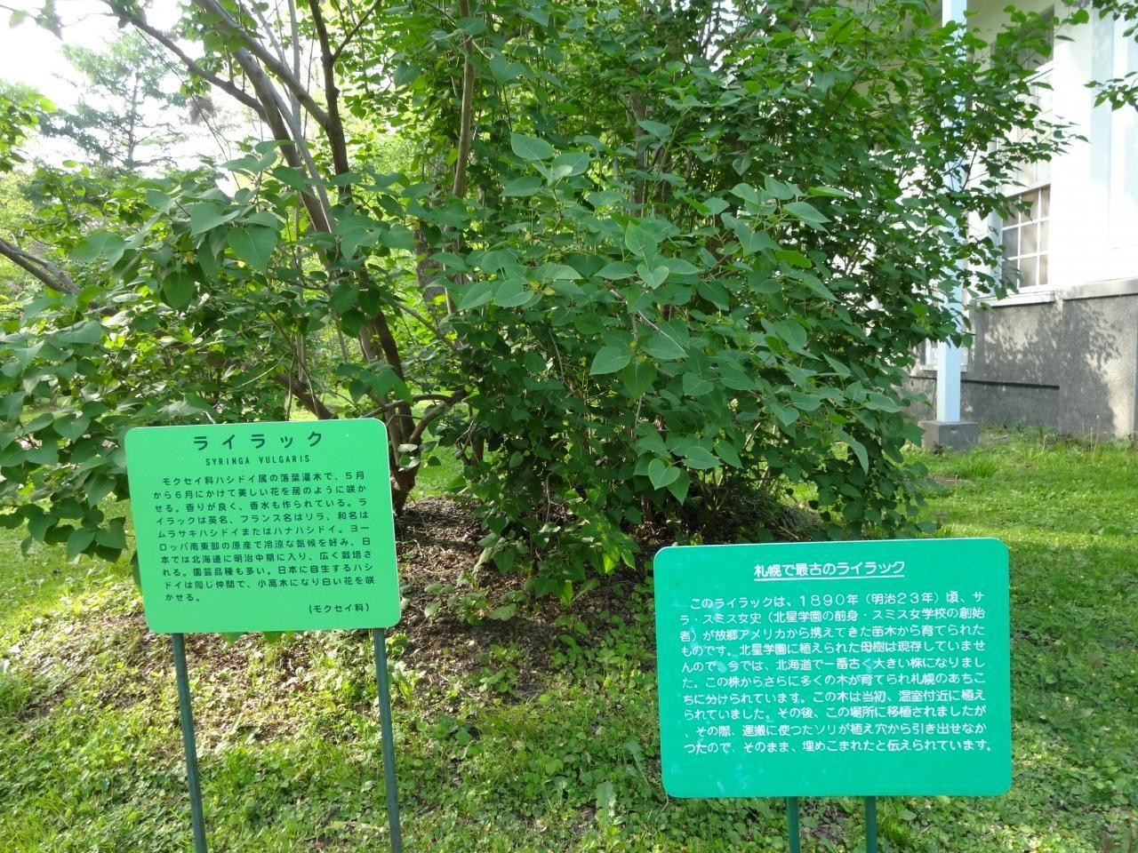 北星学園創立百周年記念館602381