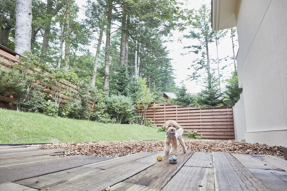 二人＆ワンコで、食事も写真撮影も楽しめます3432581