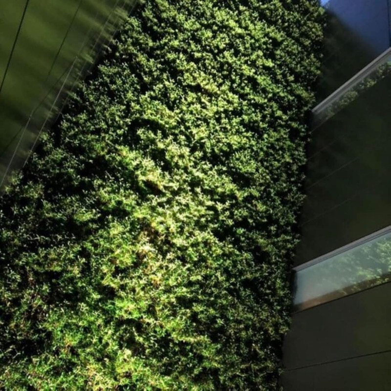 客室の眺望一例