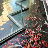 石和温泉 美と健康と癒しの宿 ホテル八田（山梨県 リゾートホテル） / 2