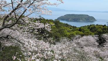 観光スポット / 10