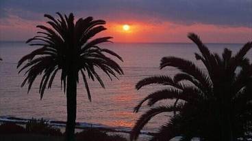 観光スポット / 15