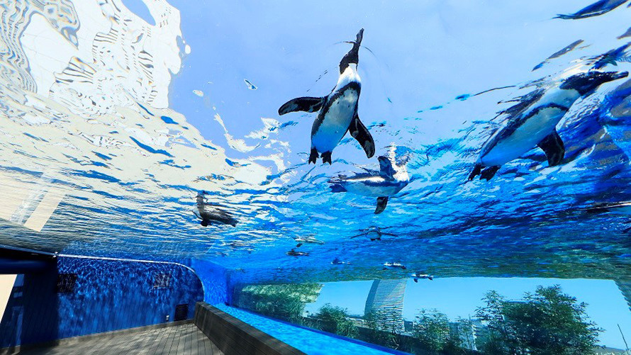 8.空飛ぶペンギンは必見！「サンシャインシティプリンスホテル」3449520