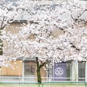 ホステル みつわ屋大阪（Hostel Mitsuwaya Osaka）（大阪府 ゲストハウス・ホステル・ドミトリー） / 5