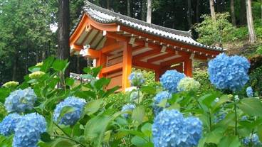 観光スポット / 13