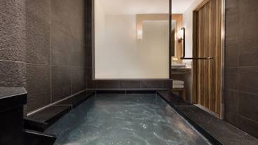 ドッグフレンドリールームキングのバスルーム / 7