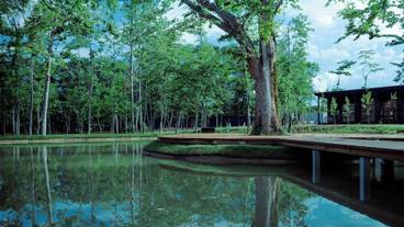 メイン イメージ / 1