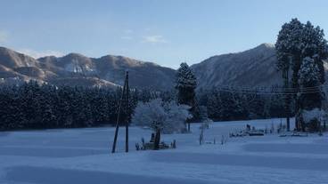 レストラン / 22