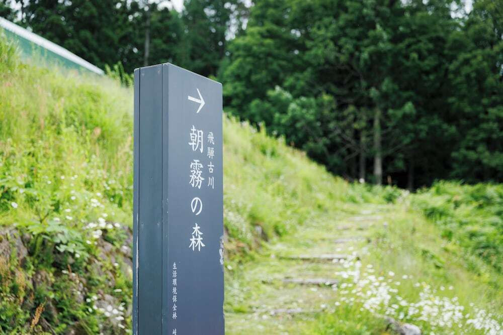 ハイキング