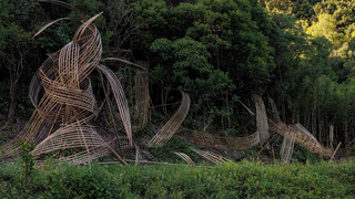 スーペリア スイート