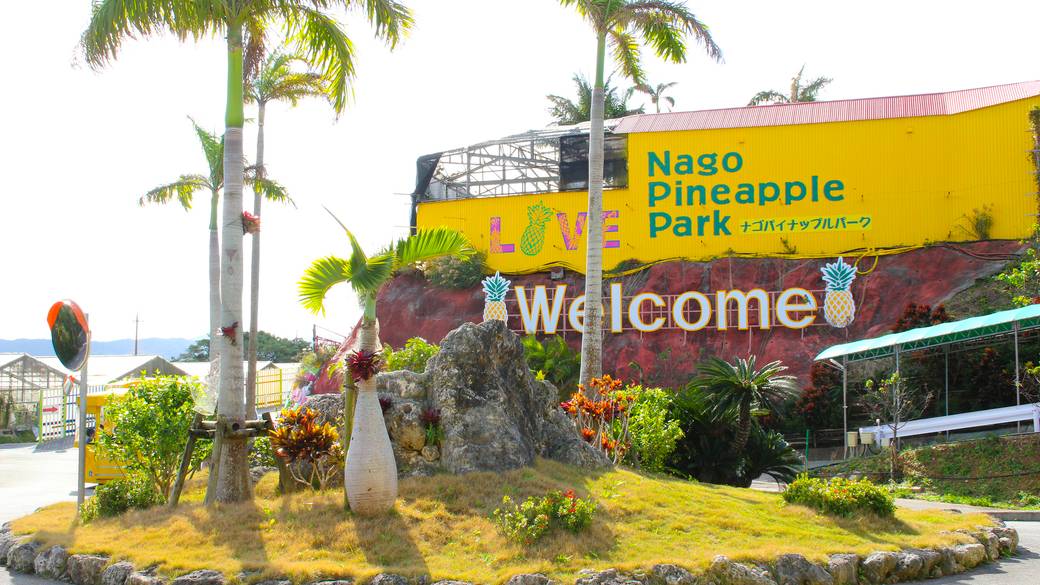 ナゴパイナップルパーク / 2