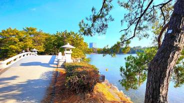 ランド ビュー / 21