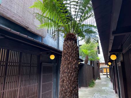 Rinn 四季十楽（Rinn Shiki Juraku） / 4