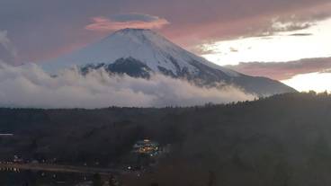 ランド ビュー / 25