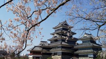 観光スポット / 14