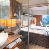 ハイアット リージェンシー 東京（東京都 シティホテル） / 5