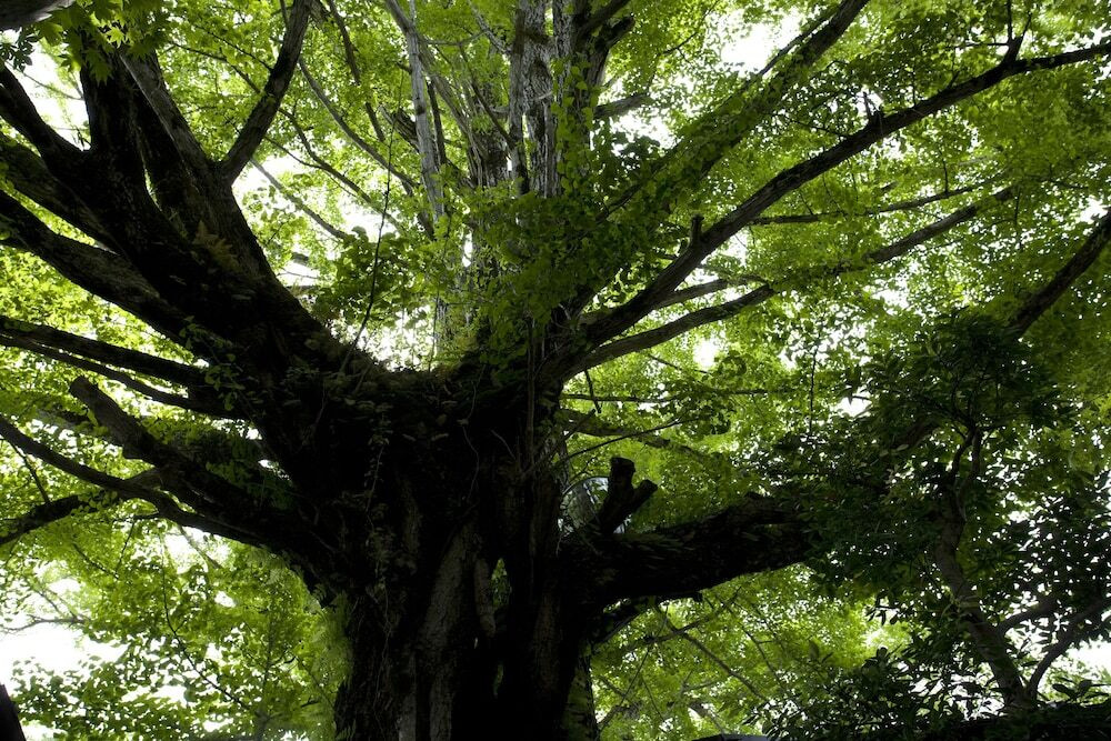 施設からの眺望