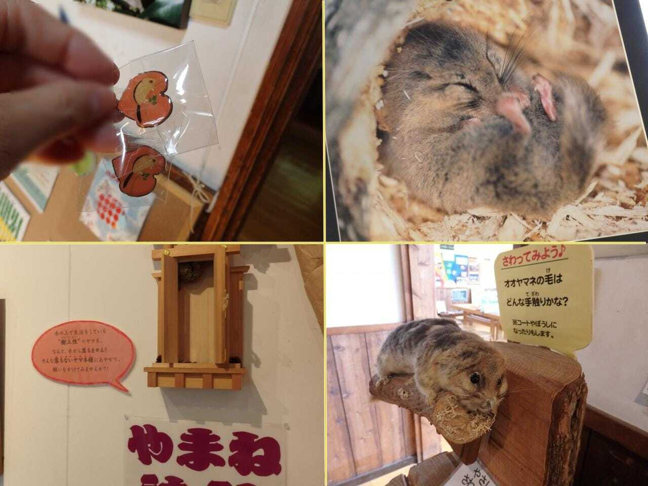 アクティビティは季節や自然と共に楽しめる！3699180