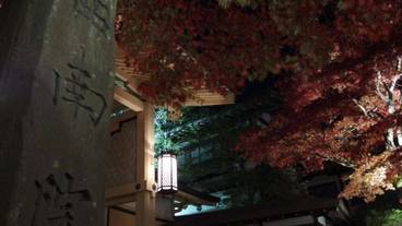 施設の敷地 / 20