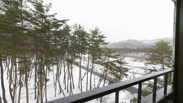 マウンテン ビュー / 31