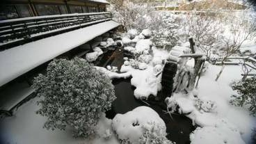 施設の敷地 / 30