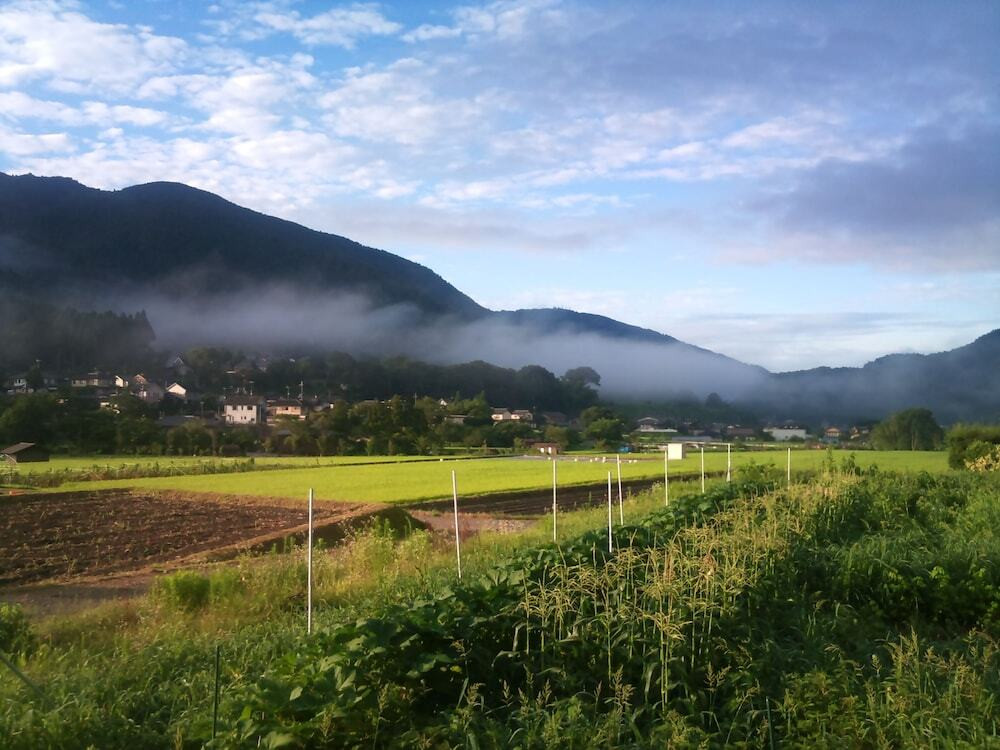 マウンテン ビュー