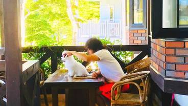 施設の敷地 / 38