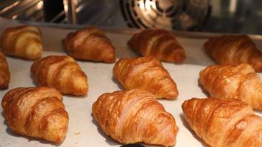 朝食ビュッフェ パン / 5