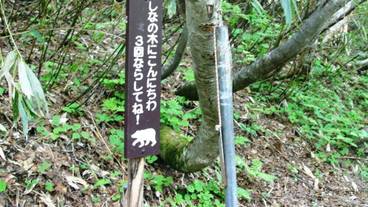 施設の敷地 / 30