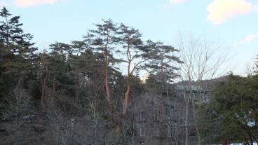 施設の敷地 / 11