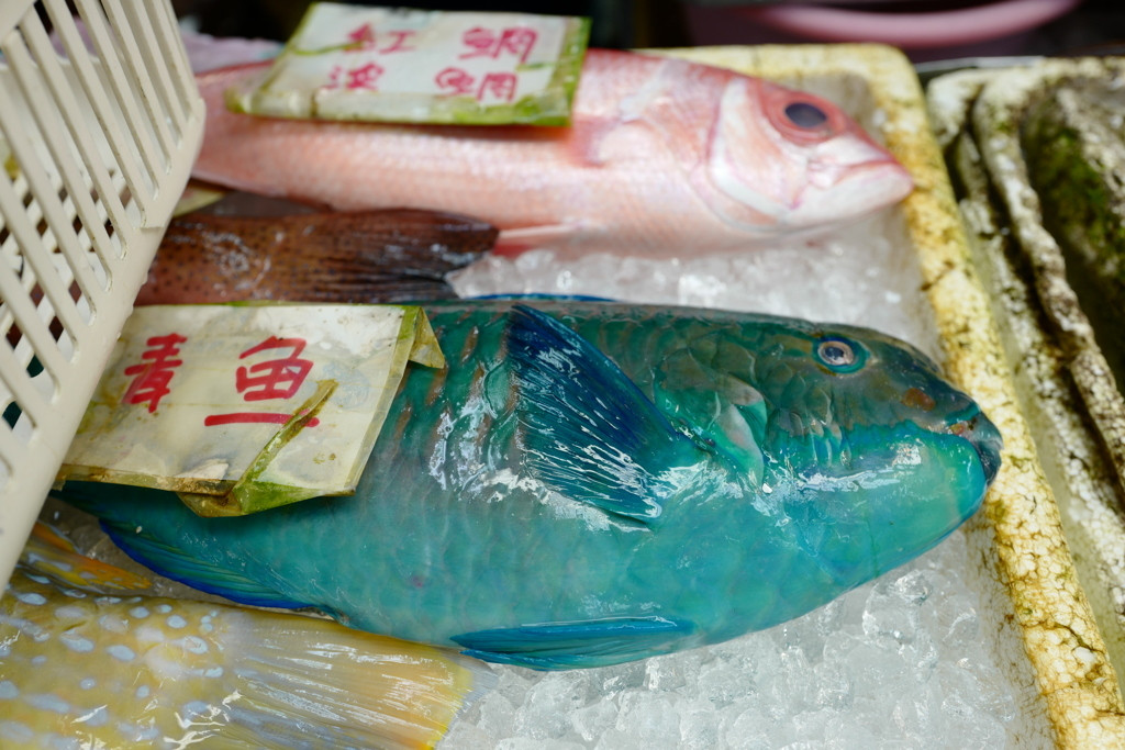 珍しい食材がずらり！これぞ沖縄の市場1884333