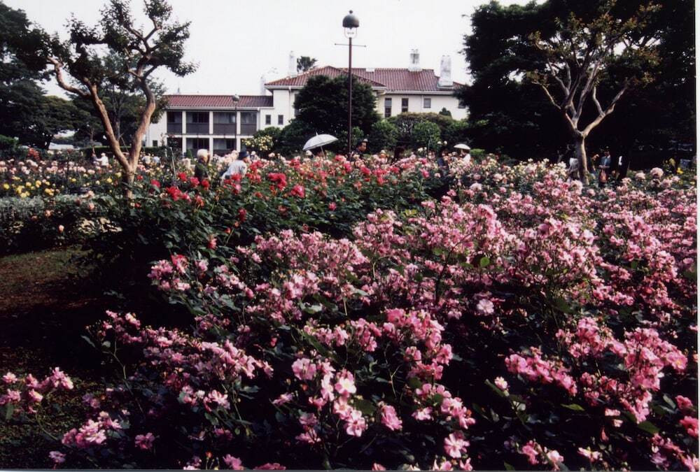 施設からの眺望