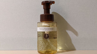 セミダブルルーム 禁煙 (14平米)