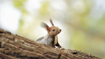 中庭の風景① / 13