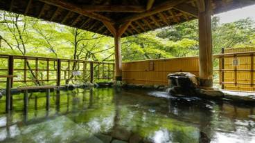 岩露天風呂 / 11